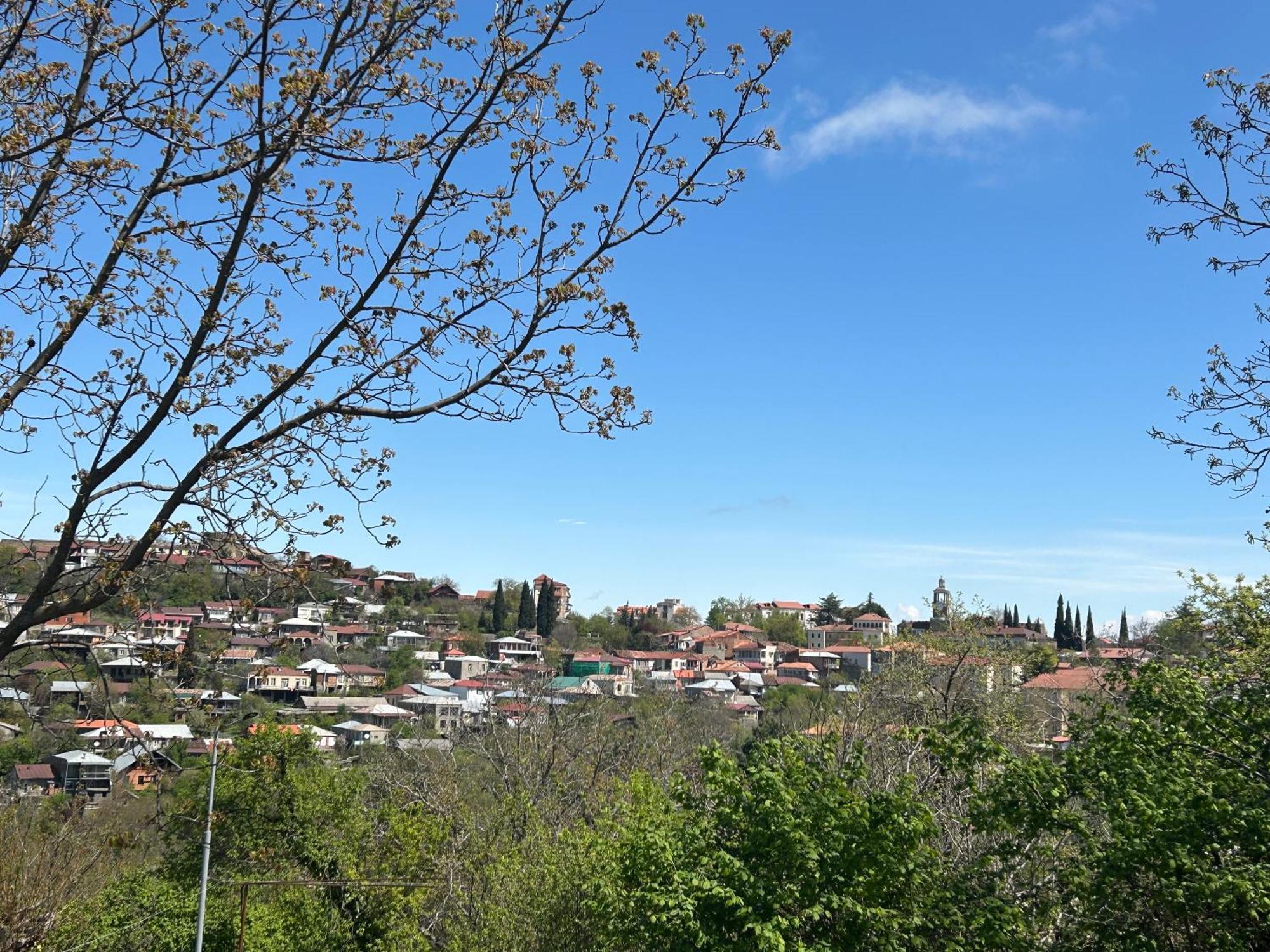 Guest House Maradona Sighnaghi Esterno foto